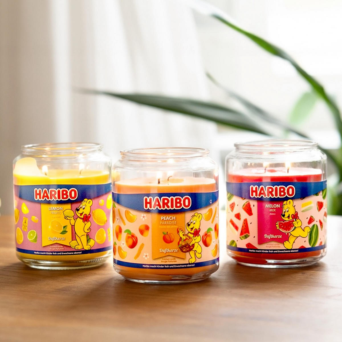 DUFTKERZE Haribo - Sahara, Glas/Naturmaterialen (13cm)