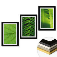 WANDBILDER 3er-Set - 20x30 cm Schwarzer Rahmen - Makrofotografie von tropischen Blättern - Schwarz, Kunststoff (20/30cm) - ArtPrintCave