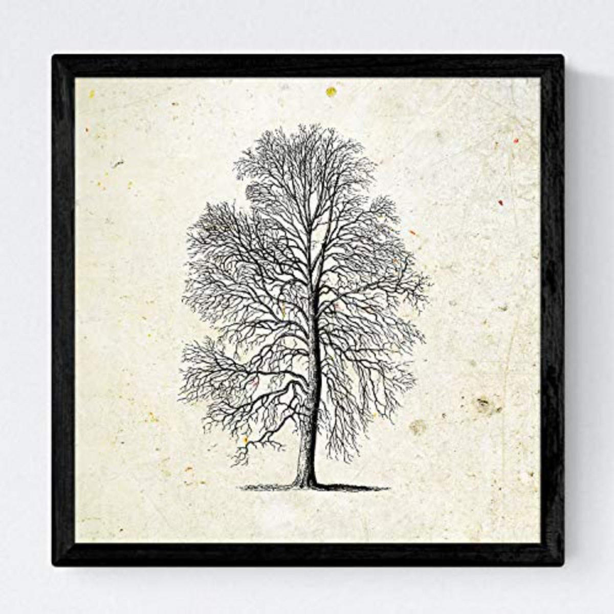 POSTER Set mit 4 Blättern der Caduda und immergrüne Jahrgang Hintergrund 20x20cm Rahmenlos - Klar, Papier (20/3cm) - Nacnic