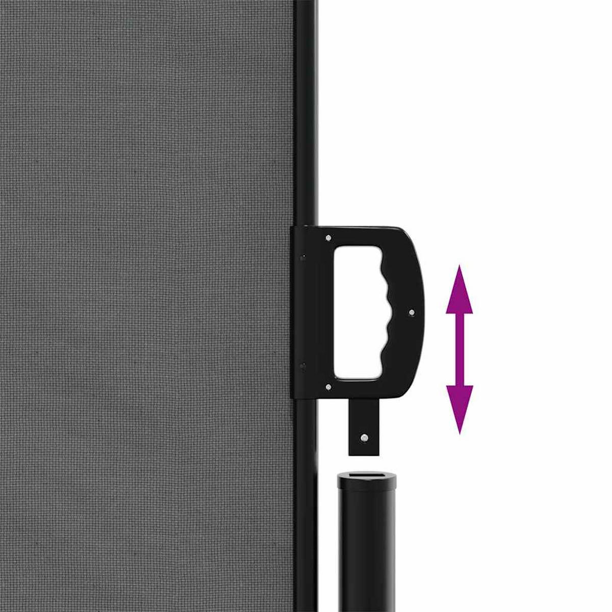SEITENMARKISE Ausziehbare Anthrazit 200/300 Cm - Anthrazit, Textil (200/300cm) - vidaXL