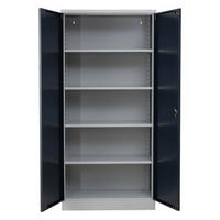 STAHLSCHRANK Bee mit 4 verzinkten Fachböden 195x92x42 cm Korpusfarbe Lichtgrau Frontfarbe Anthrazit - Anthrazit, Metall (92/195/42cm)
