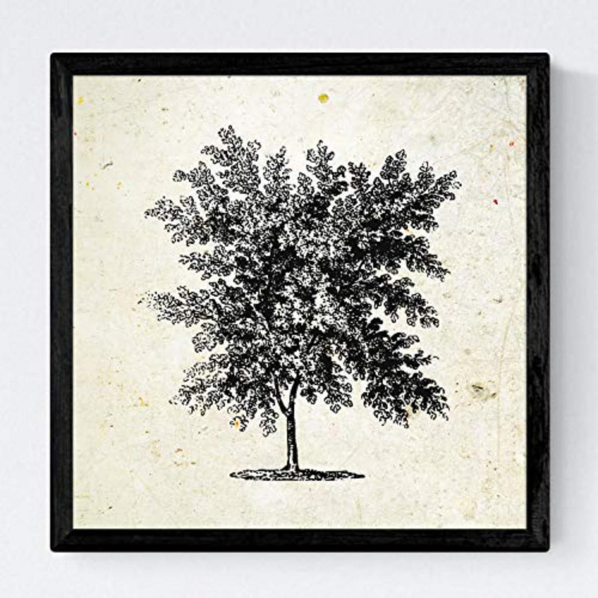 POSTER Set mit 4 Blättern der Laubbäume Jahrgang Hintergrund 30x30 cm Rahmenlos - Klar, Papier (30/3cm) - Nacnic