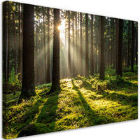 LEINWANDBILD Wald Bäume Sonnenaufgang 120x80cm - Grün, Textil (120/80cm) - Feeby