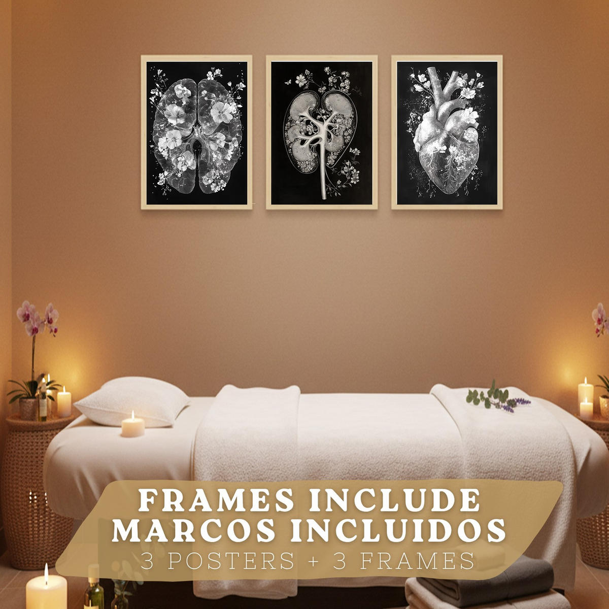 POSTER Set aus 3 Anatomie Drucke und mit Inneren Organen Gehirn Herz Nieren Minimalistisches Schwarz Weiß Design Größe Leichter Holzrahmen A3 - Beige, Papier (29.7/42/3cm) - Nacnic