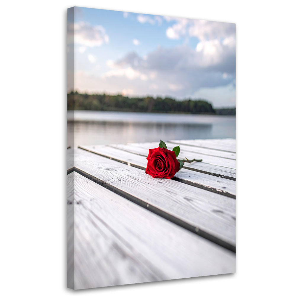BILD auf Leinwand, Rote Rose auf einem Pier - Rot, Textil (20/30cm) - Feeby