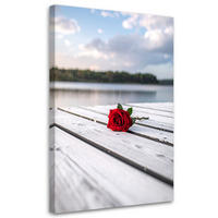 BILD auf Leinwand, Rote Rose auf einem Pier - Rot, Textil (20/30cm) - Feeby