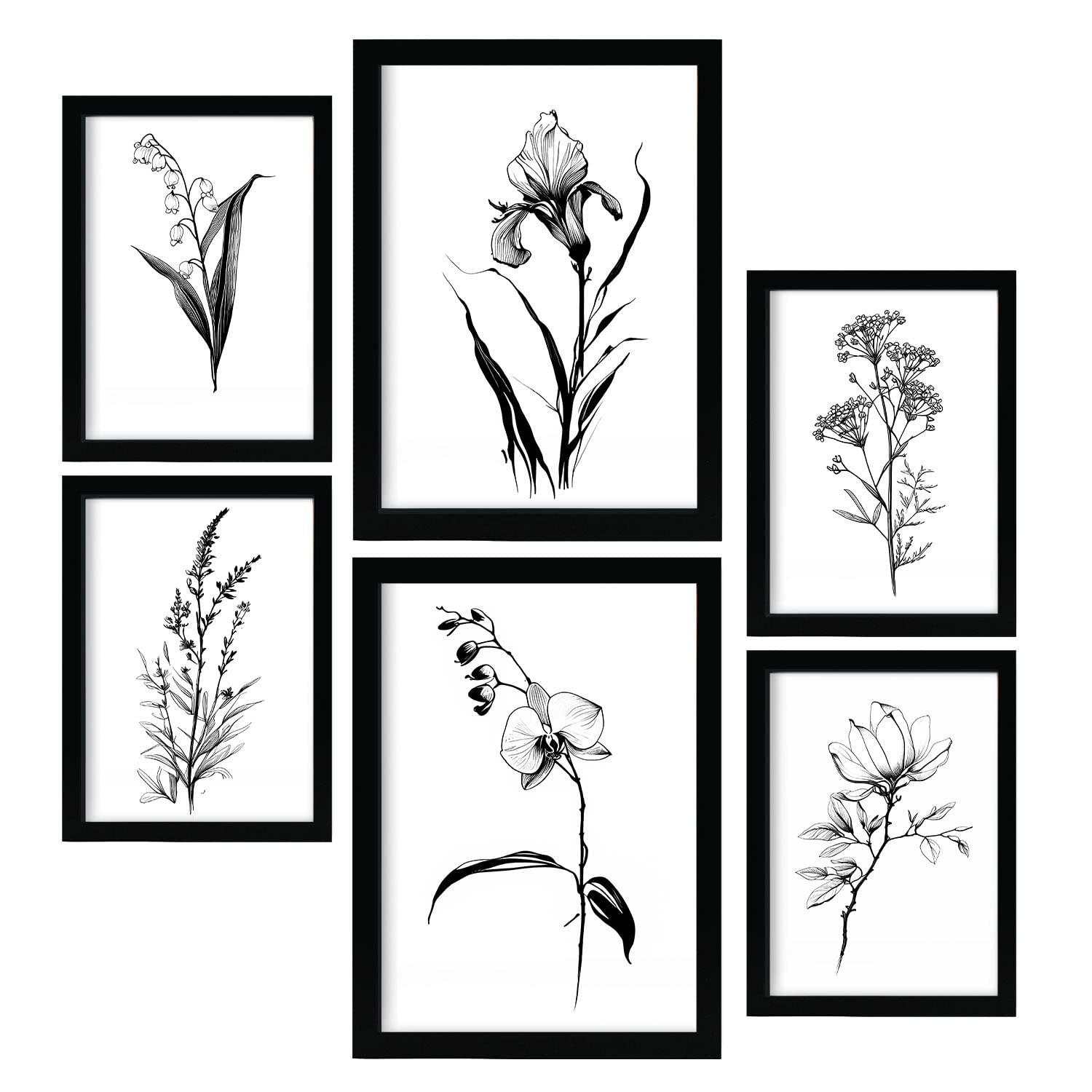 POSTER Set Mit 6 Zarte Blumen Blumenmotiven In Klassischem Schwarz Und Weiß A3 & A4 Rahmenlos - Klar, Papier (29/3cm) - Nacnic