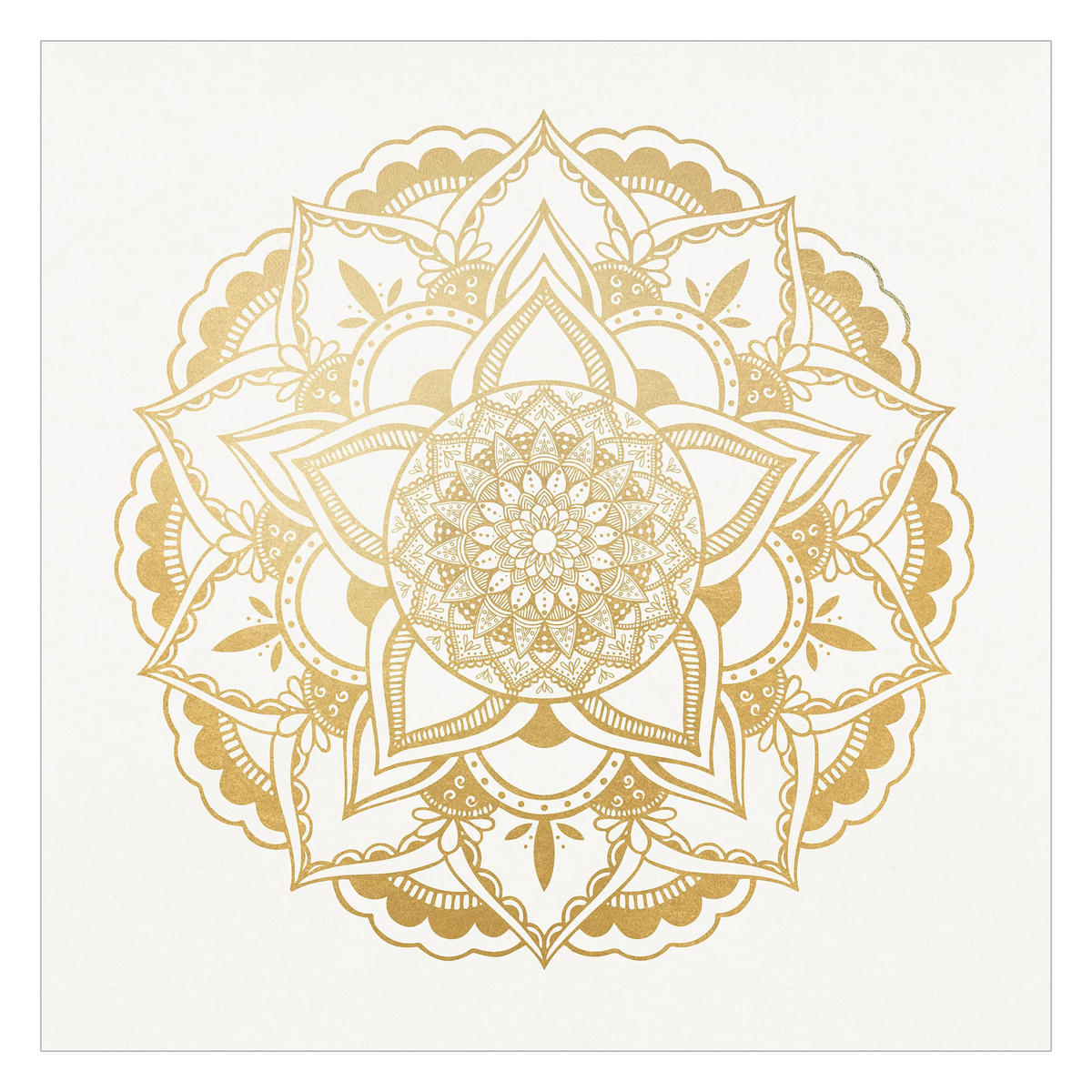 FOTOTAPETE Mandala Blume gold weiß 240/240 cm - Goldfarben, Papier (240/240cm) - Bilderwelten