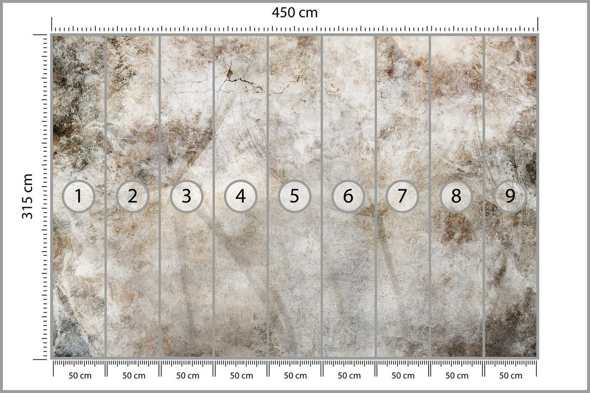 FOTOTAPETE Löwenzahnsamen Beton Retro Stil 450x315 - Beige/Braun, Papier (450/315cm) - Muralo