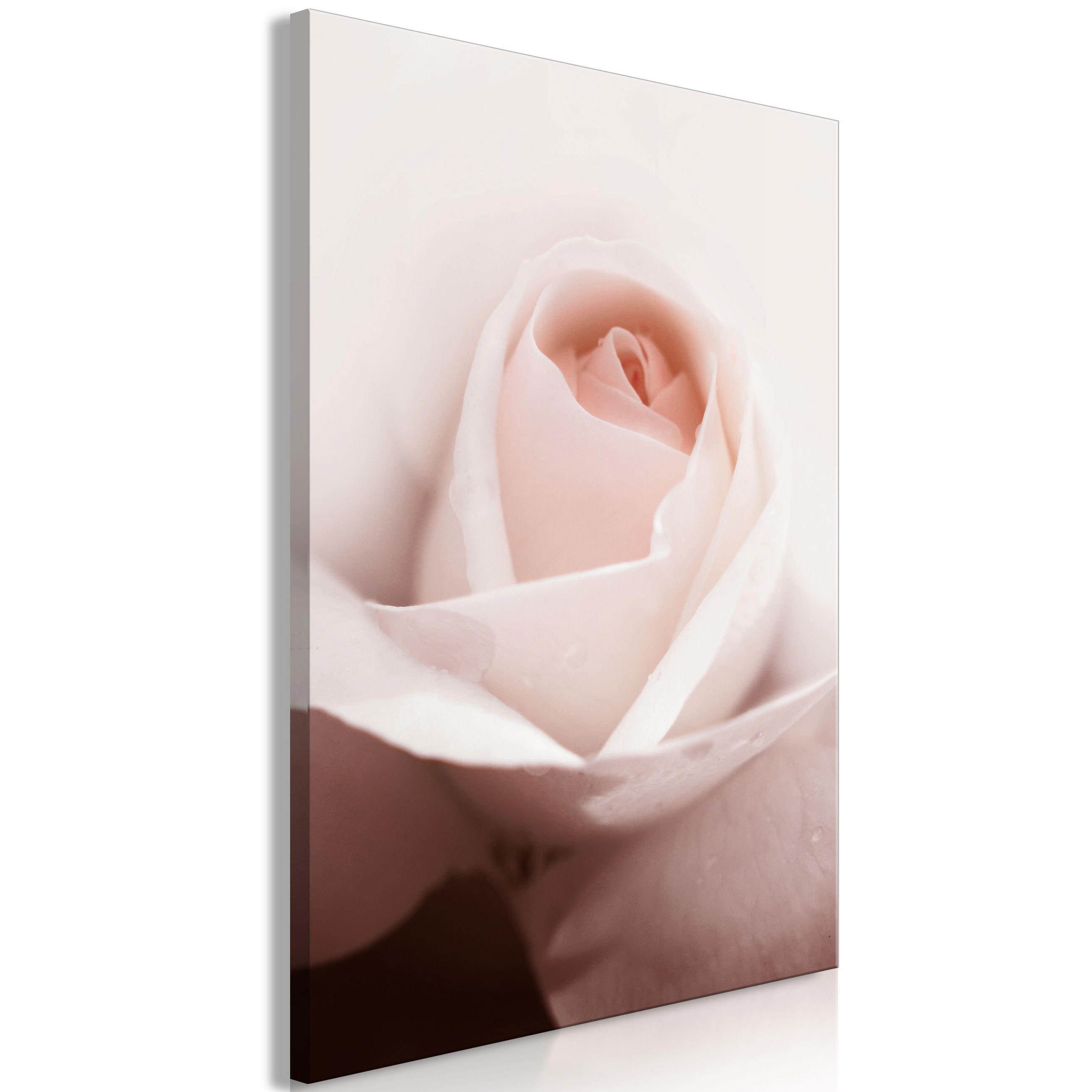 KUNSTDRUCK Rosa 40/60 cm - Pink, Textil (40/60cm) - KUNSTLOFT