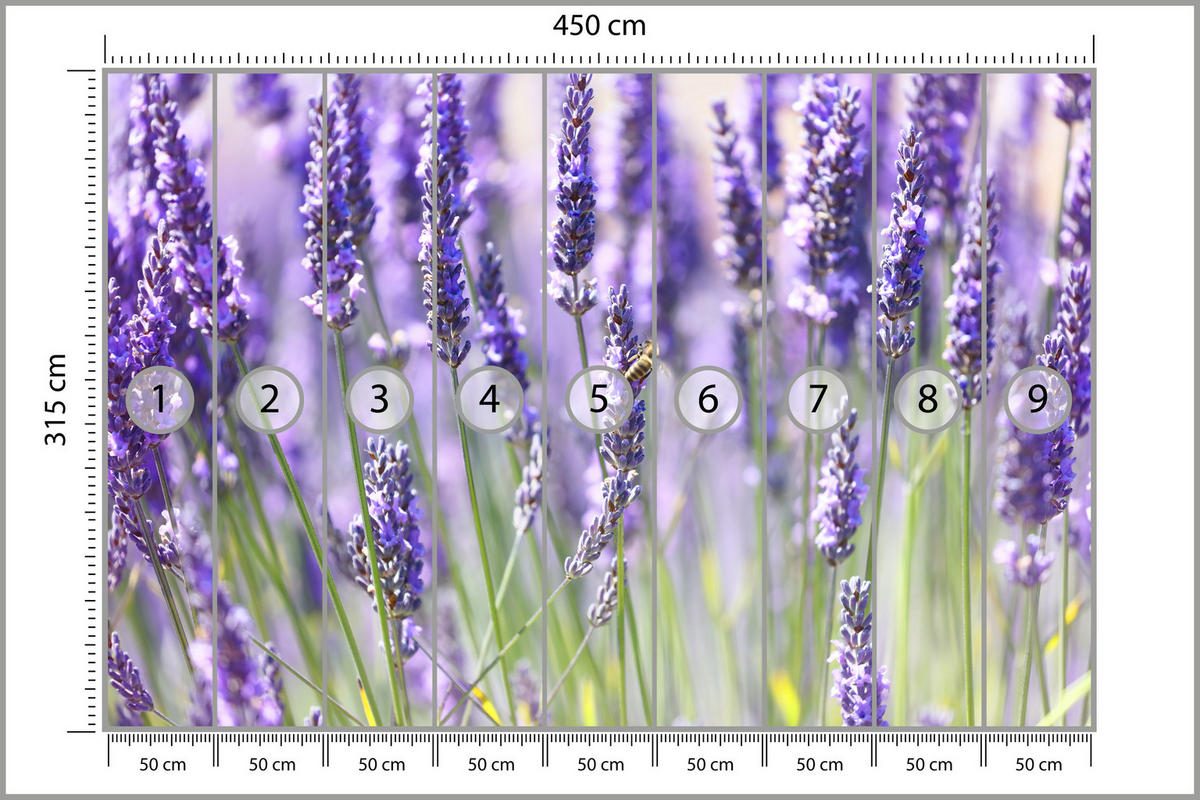 FOTOTAPETE für Küche Lavendelwiese Blumen Kräuter 450x315 - Violett/Grün, Papier (450/315cm) - Muralo