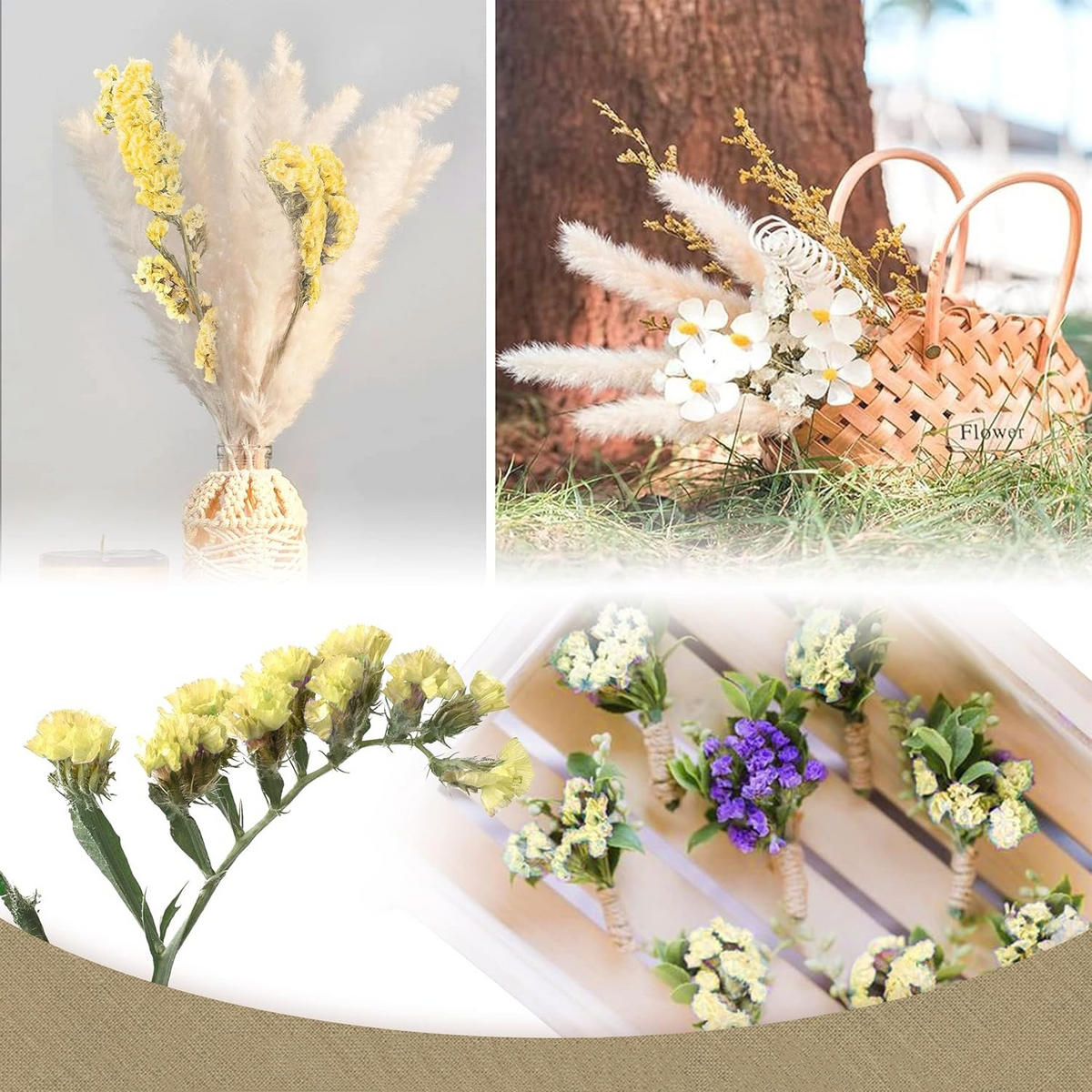 TROCKENBLUME 35 Stück, Für Home Hochzeit Esszimmertisch Deko - Multicolor, Naturmaterialien (5cm) - Kaket