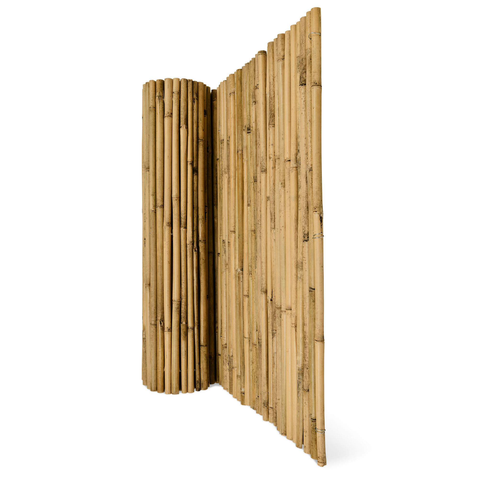 SICHTSCHUTZZAUN SolVision B38 100/250 cm Bambus - Naturfarben, Kunststoff (250/100cm) - Sol Royal