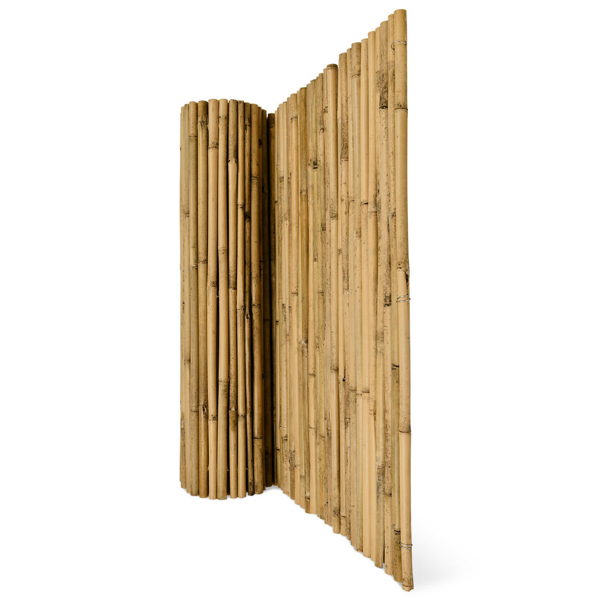 SICHTSCHUTZZAUN SolVision B38 150/250 cm Bambus - Naturfarben, Kunststoff (250/150cm) - Sol Royal