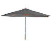 SONNENSCHIRM Grau - Grau, Holz (350/350cm) - MCW