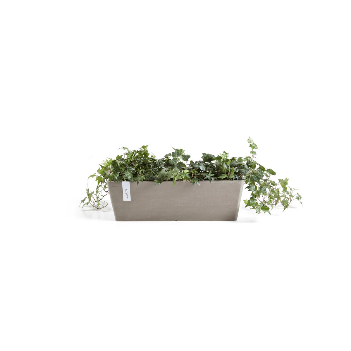 BLUMENTOPF mit Wasserreservoir Bruges 55,3/16,5/17,5 cm Taupe - Taupe, Kunststoff (55.3/17.5cm) - Ecopots