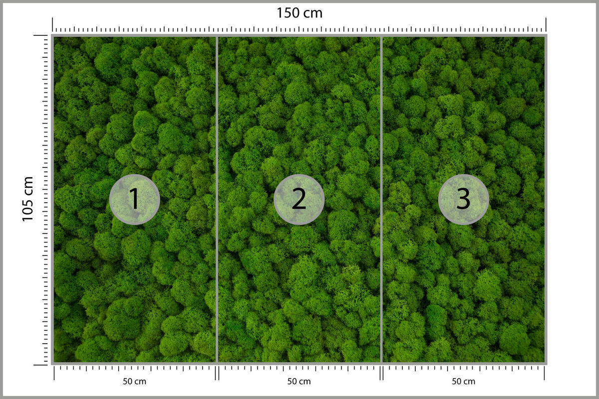 FOTOTAPETE für Jugendzimmer Dekorativer Grüner Moos Modern 150x105 - Grün, Papier (150/105cm) - Muralo