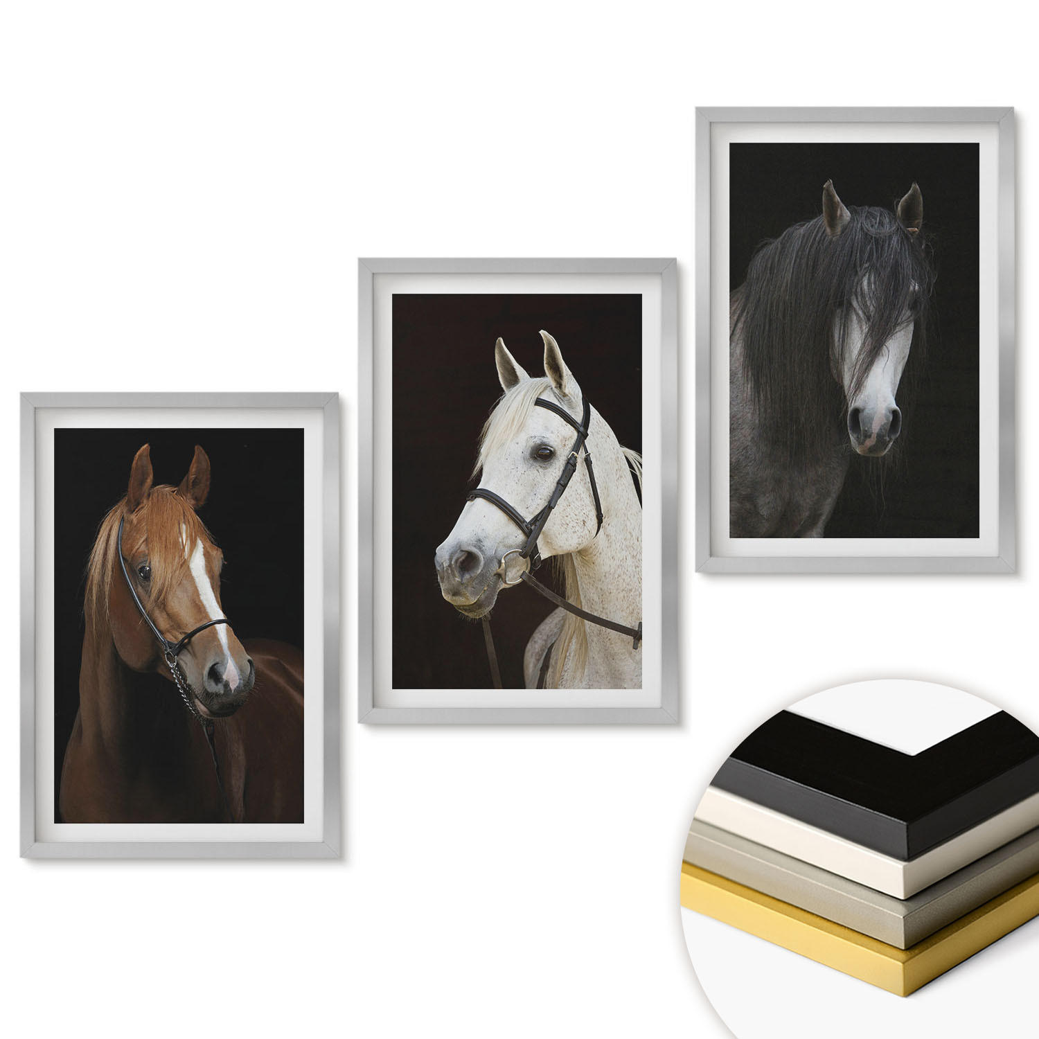 WANDBILDER 3er Set - 40x60 cm Silberner Rahmen - Porträts von Pferden in verschiedenen Fellfarben - Silberfarben, Kunststoff (40/60cm) - ArtPrintCave