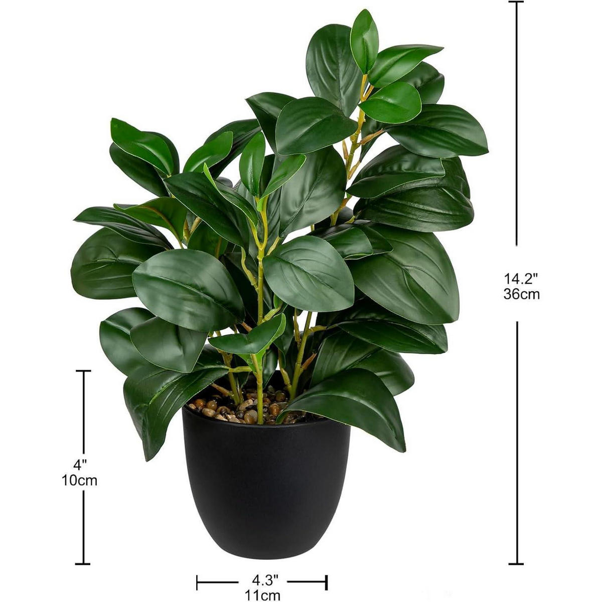 KÜNSTLICHE Pflanze Kamelie 28 cm - Grün, Kunststoff (36cm)