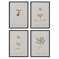 POSTER Set mit 4 mit kleinen Pflanzenblättern aus dem Künstler PierreJoseph Redouté A3 Schwarzer Rahmen - Schwarz, Papier (29.7/3cm) - Nacnic