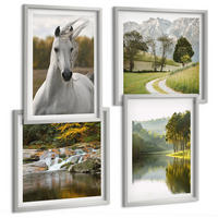 BILDER SET 4er Set - 50x50 cm & 40x60 cm Silberner Rahmen - Natur des Flusses White Horses - Silberfarben, Kunststoff (50/50cm) - TULUP
