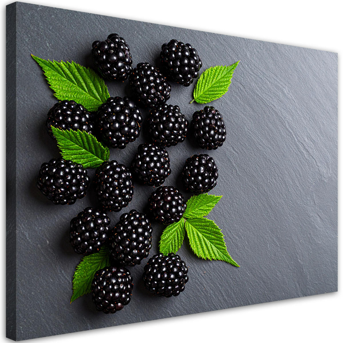 LEINWANDBILD Brombeeren Früchte Natur 60x40cm - Grau, Textil (60/40cm) - Feeby