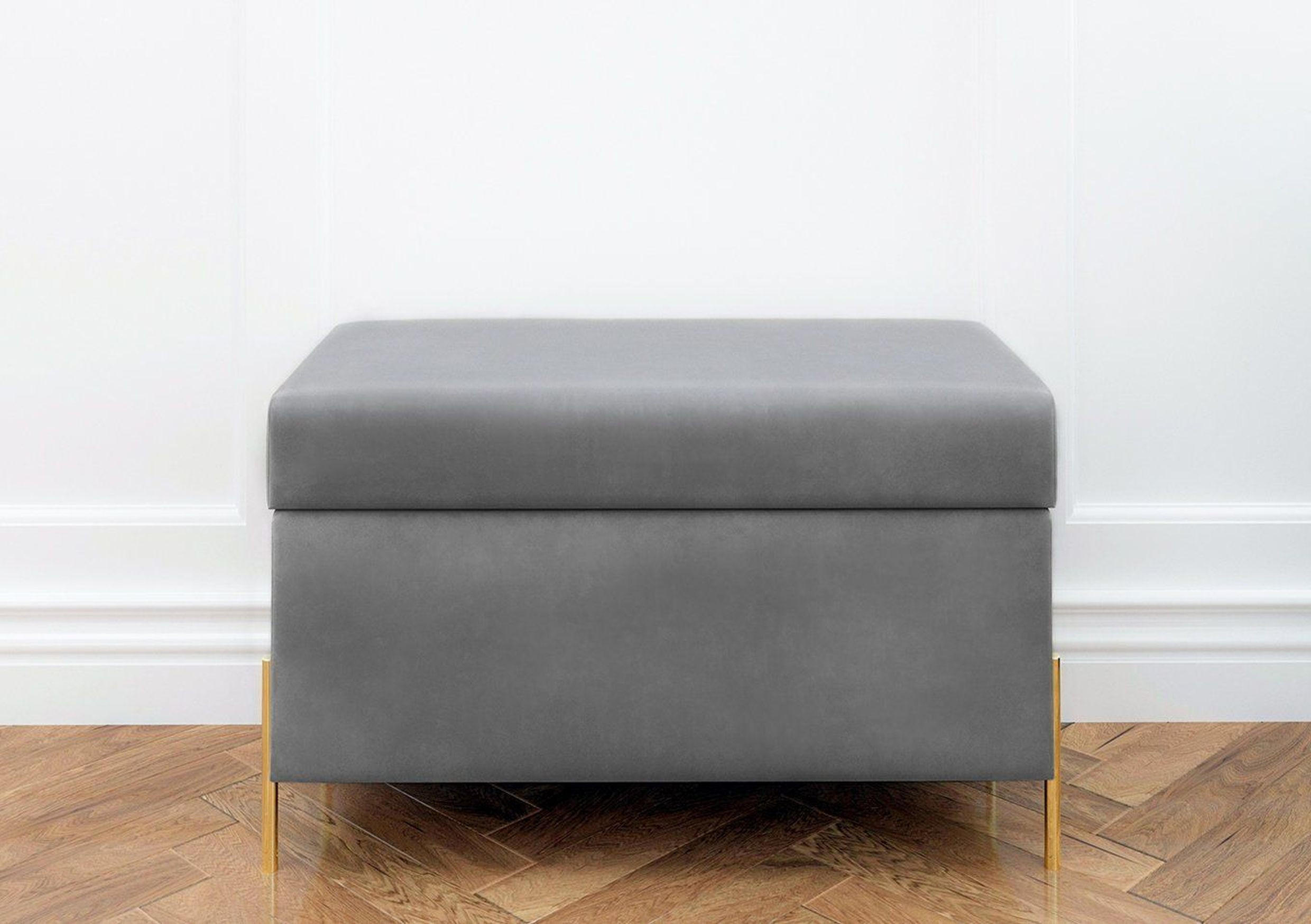 HOCKERBANK Borgo Mit Stauraum, Samt Hell Grau, Metal Gold - Goldfarben/Hellgrau, Holzwerkstoff/Metall (80/46/37cm) - Dancan