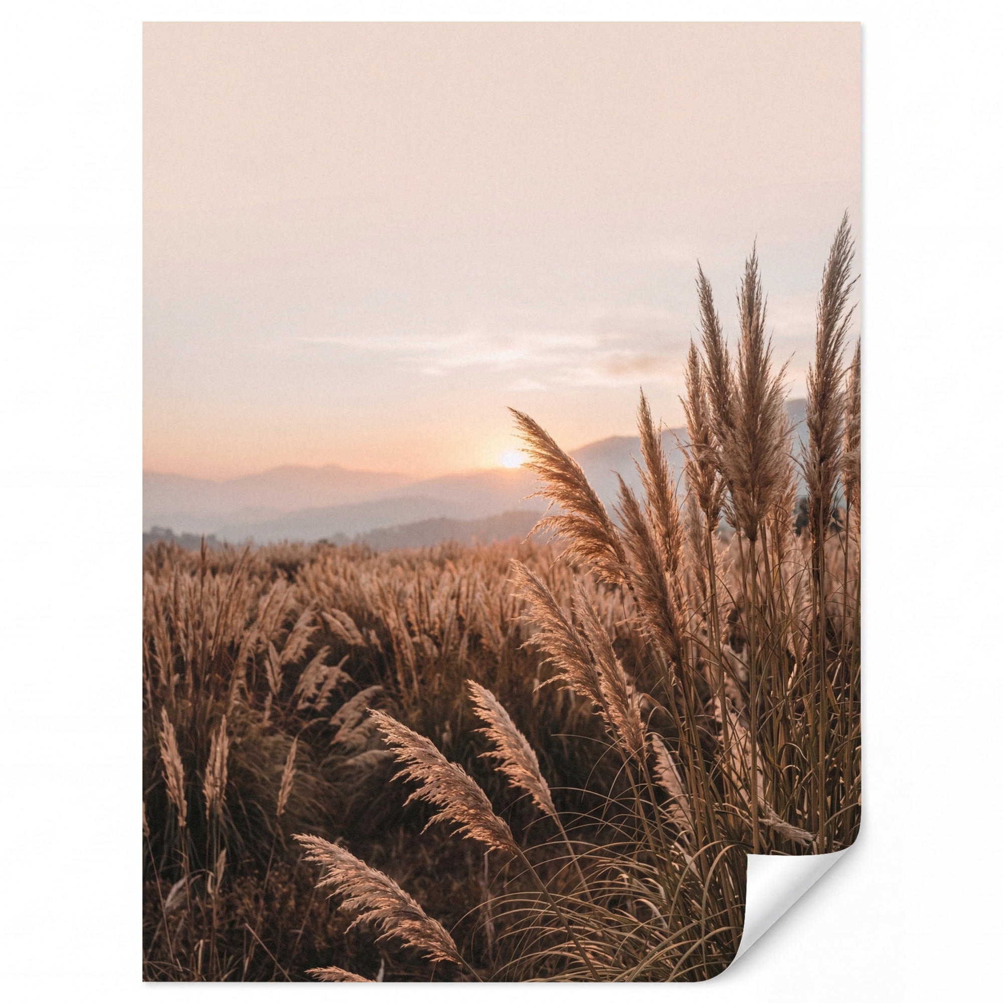 OnlyWow Tapete Sand 180x240 cm