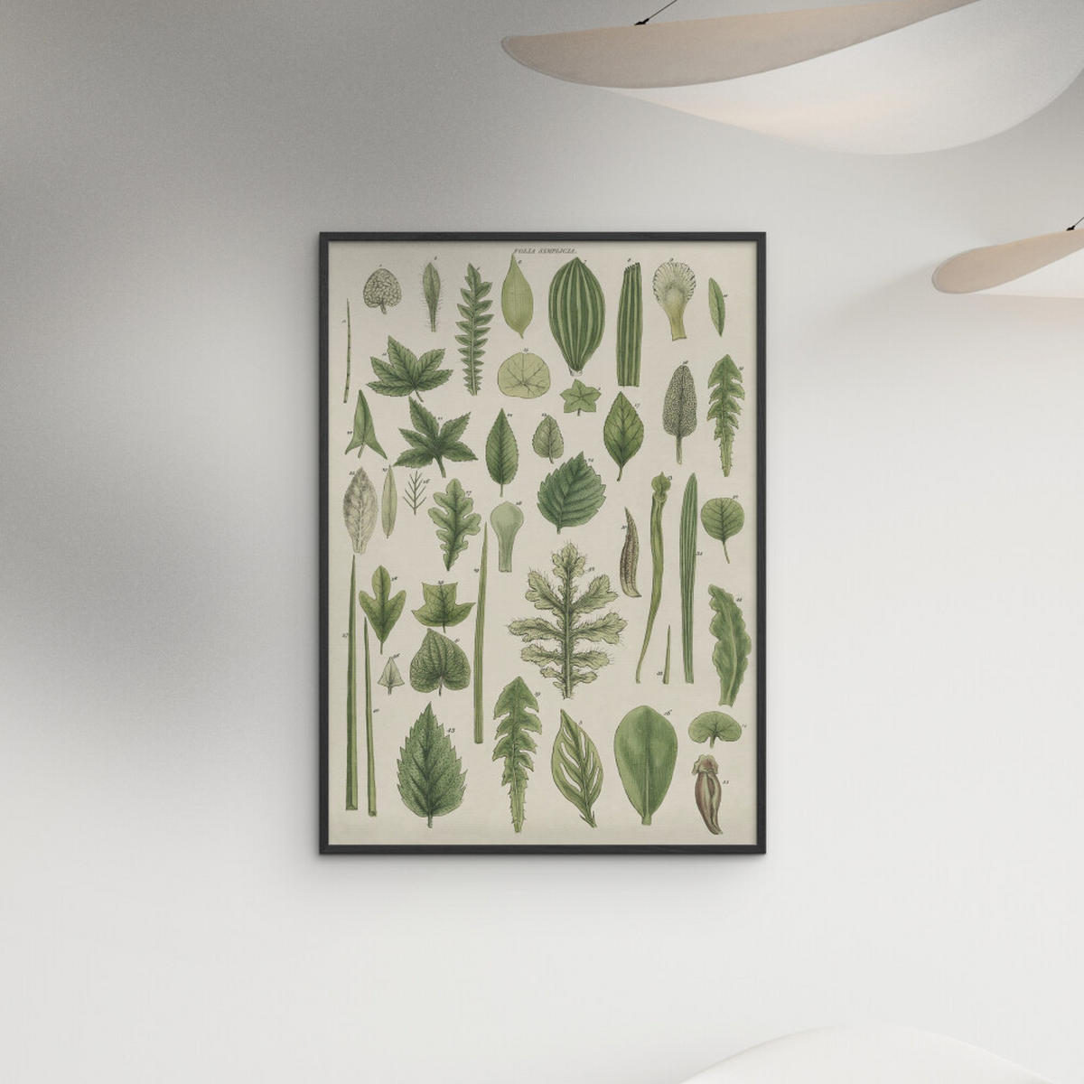 POSTER mit Rahmen Wild Apple - Assortment of Leaves II - Schwarz/Grün, Holz/Papier (70/100cm) - Poster&Frame