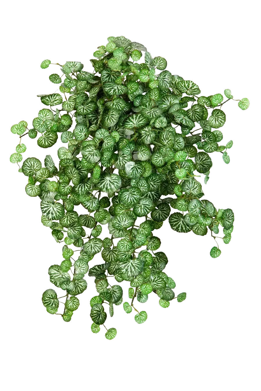 KUNSTPFLANZE Künstliche Steinbrech - Emanuel 50cm - Grün, Kunststoff (50cm) - aplanta