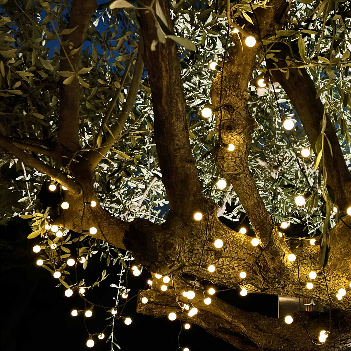 BILLY Solar-Lichterkette, 60 Glühbirnen, 6,9 m - Weiß, Kunststoff (800/2/2cm) - Lumisky