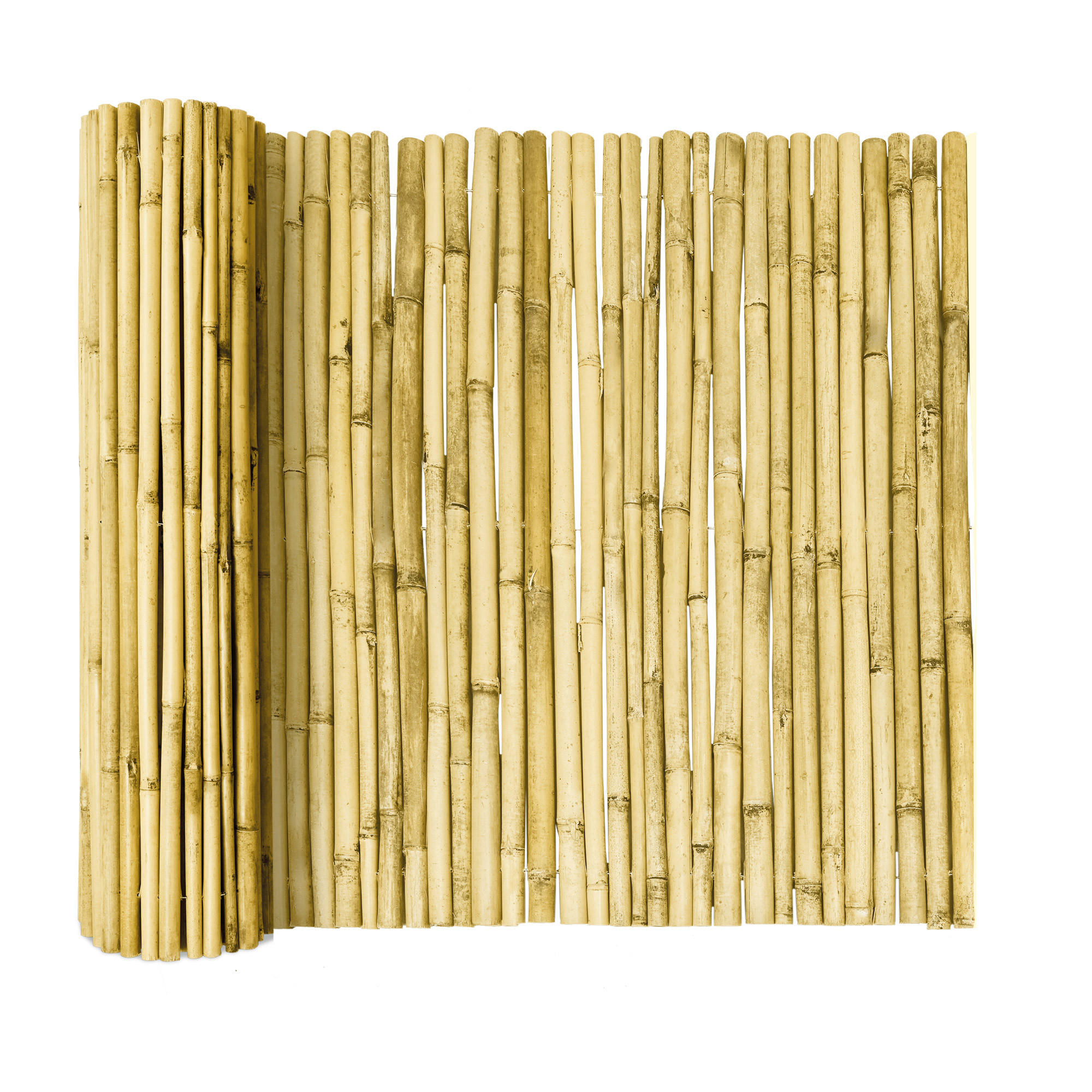 SICHTSCHUTZZAUN SolVision B89 200/250 cm Bambus Hell - Weiß, Naturmaterialien (250/200cm) - Sol Royal