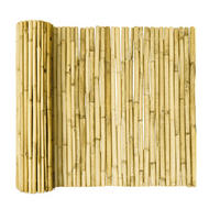 SICHTSCHUTZZAUN SolVision B89 100/250 cm Bambus Hell - Weiß, Naturmaterialien (250/100cm) - Sol Royal