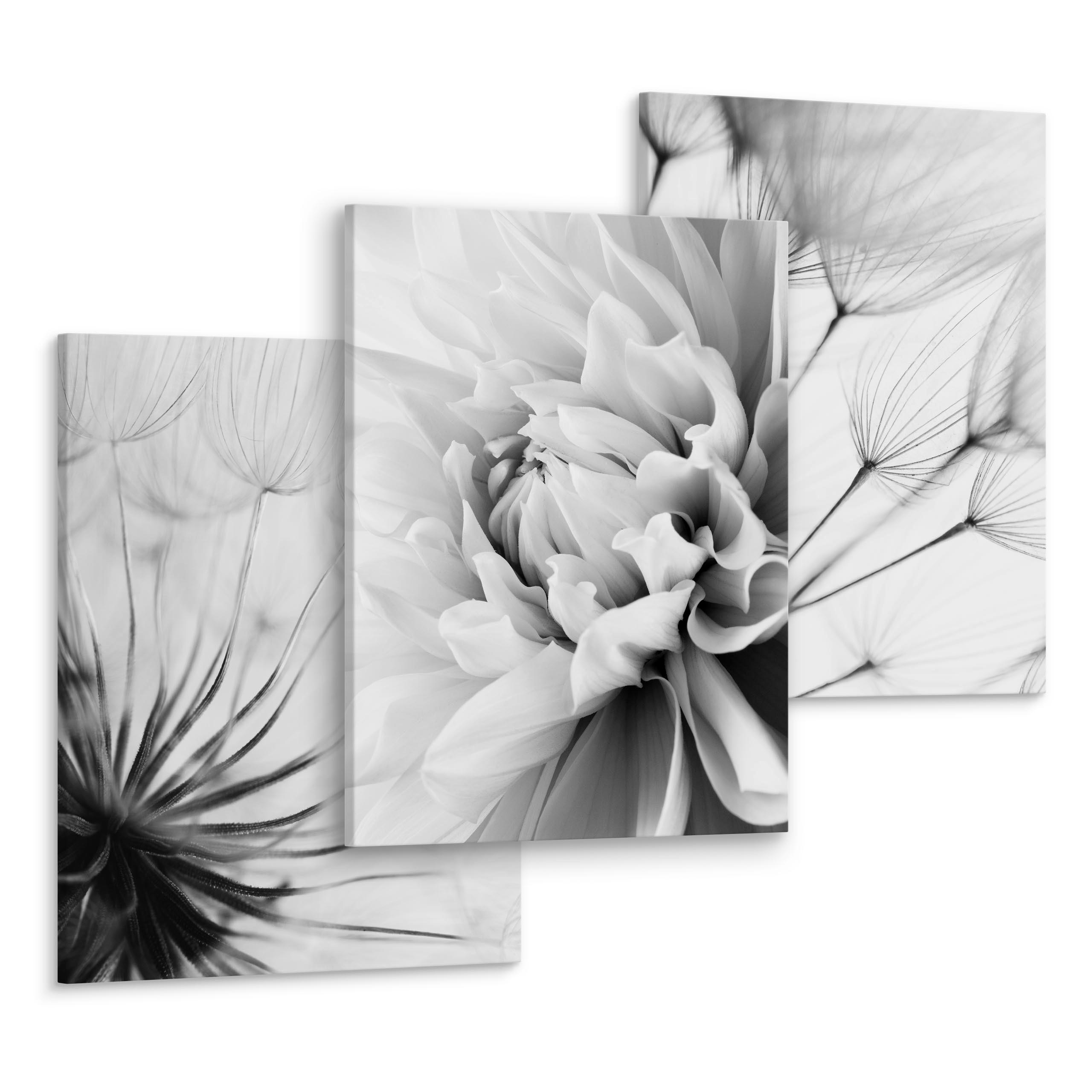 LEINWANDBILDER 3-er Set Pflanzen Natur - Schwarz/Weiß, Textil (90/40cm) - Muralo