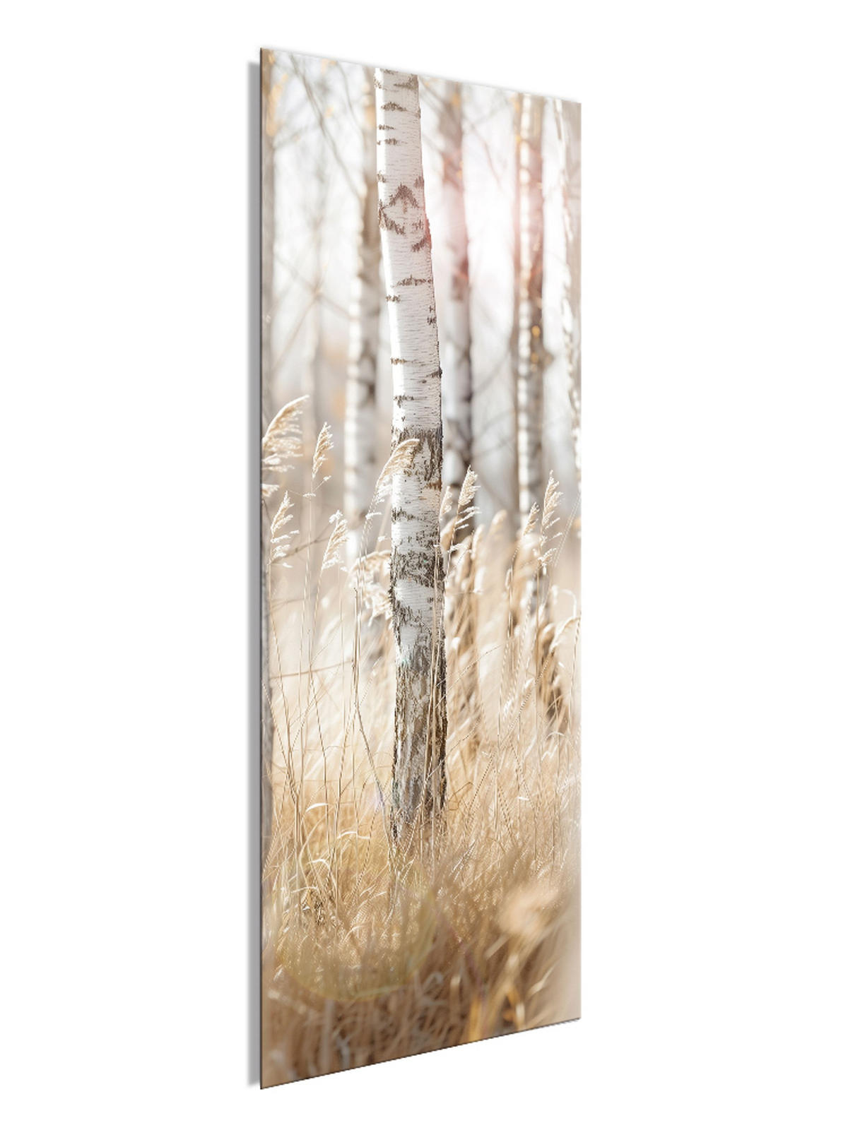 GLASBILD 30x80 cm Wald beige weiß - Beige, Glas (30/80cm) - artissimo