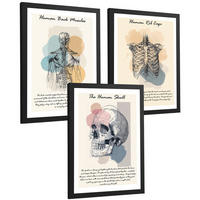 POSTER Set aus 3 Anatomie Mensch Lernposter Drucke und Wandbilder mit Muskeln Rücken Brustkorb Schädel Wanddekoration Größe Schwarzer Rahmen A4 - Schwarz, Papier (21/29.7/3cm) - Nacnic