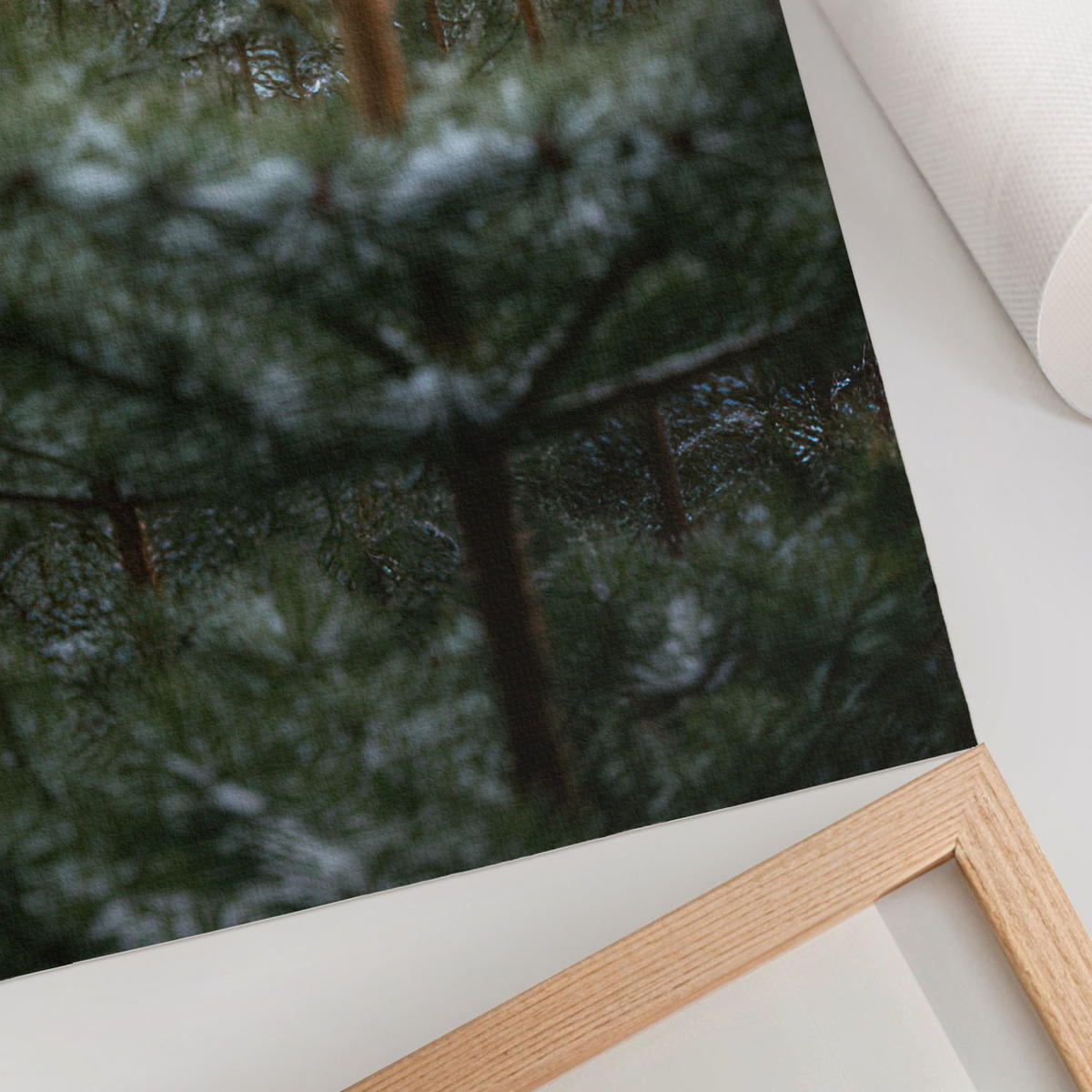 POSTER - 59x84 cm - digitalPhoto - Grüne Nadelbäume - Grün, Textil (59/84/0.1cm) - TULUP