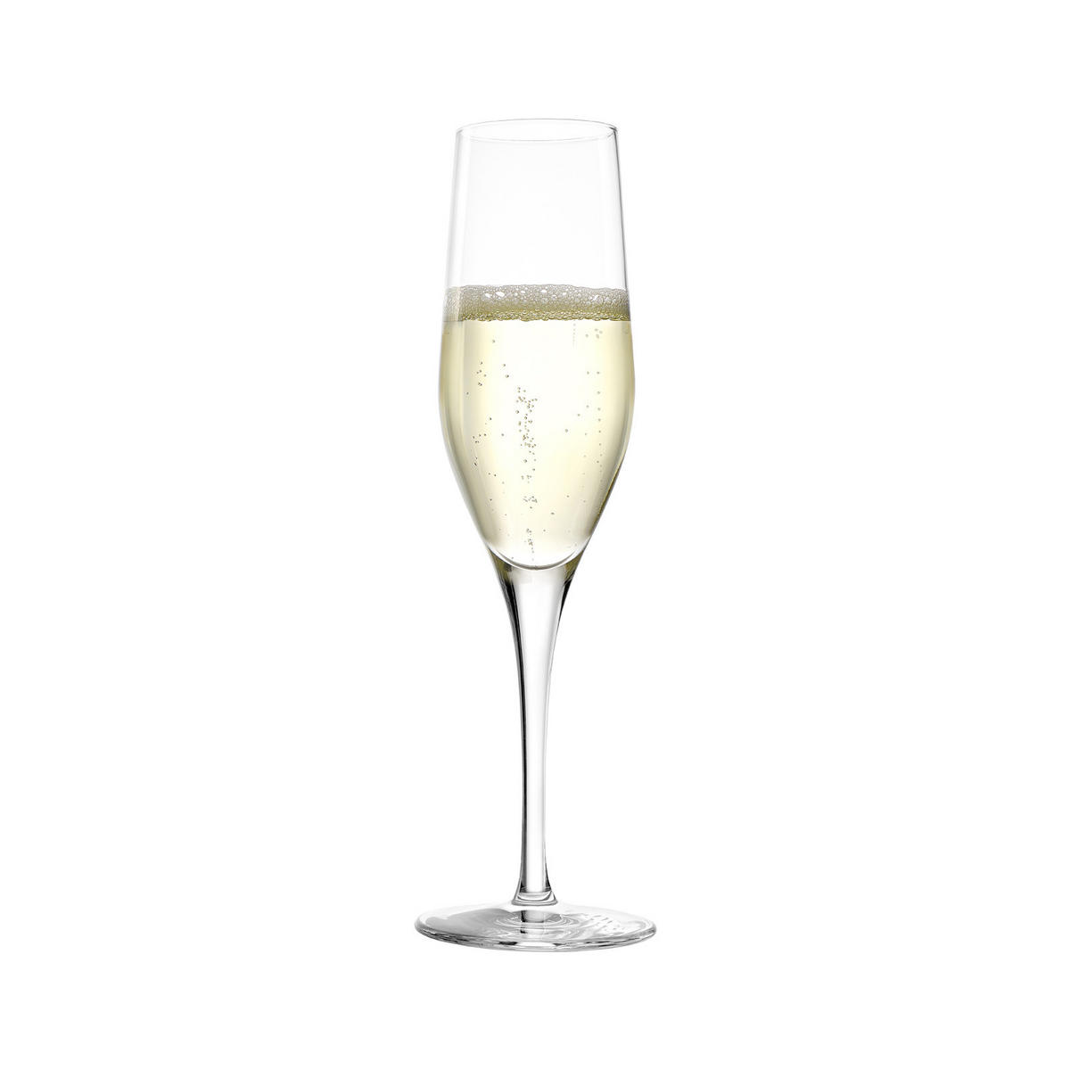 CHAMPAGNER TASTINGGLÄSER Exquisit transparent 18er Set - Transparent, Glas - Stölzle Lausitz