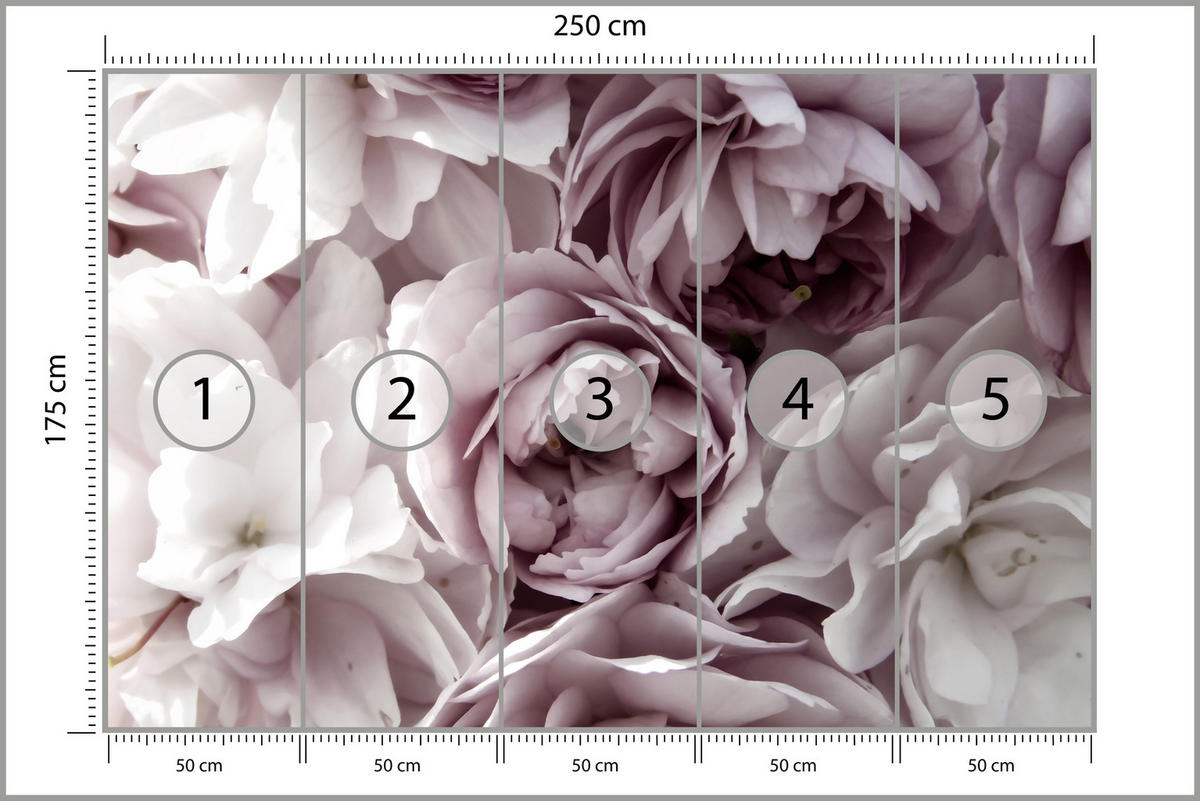 FOTOTAPETE für Badezimmer Pastell Pfingstrosen Blumen 250x175 - Beige/Violett, Papier (250/175cm) - Muralo