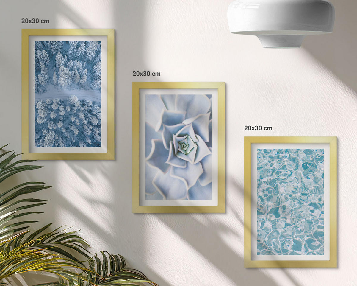 BILDER SET 3er Set - 20x30 cm Goldrahmen - Winterwald blaue Blume Wasser - Goldfarben, Kunststoff (20/30cm) - TULUP