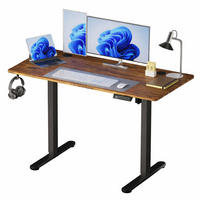 SCHREIBTISCH Schwarz elektrisch höhenverstellbar 120x60 cm - Multicolor, Holzwerkstoff/Kunststoff (60/120/120cm) - Relaxdays