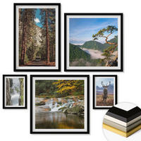 WANDBILDER 5er-Set - 50x50 cm & 20x30 cm & 40x60 cm Schwarzer Rahmen - Wasserfall Wald Berge Hirsch Natur - Schwarz, Kunststoff (40/60cm) - ArtPrintCave