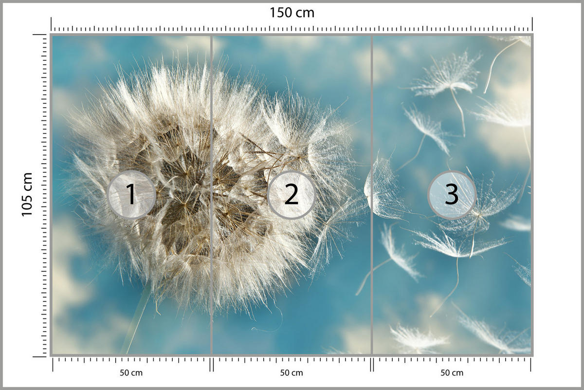 FOTOTAPETE für Schlafzimmer Löwenzahn im Wind Leicht Dynamisch 150x105 - Blau/Beige, Papier (150/105cm) - Muralo