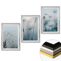 WANDBILDER 3er Set - 40x60 cm Silberner Rahmen - Löwenzahn mit Wassertropfen - Silberfarben, Kunststoff (40/60cm) - ArtPrintCave