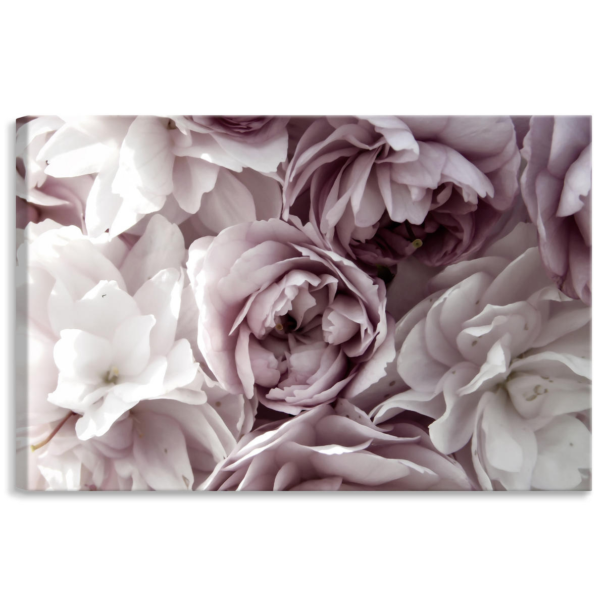 LEINWANDBILD Blumen Pflanzen Natur 3D Effekt 40/30 cm - Rosa/Weiß, Textil (40/30cm) - Muralo