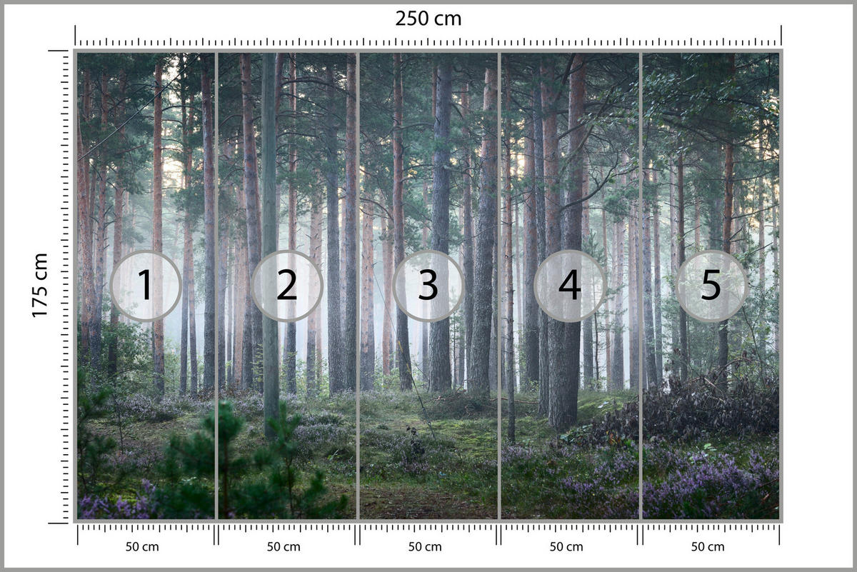 FOTOTAPETE für Wohnzimmer Nebelwald mit Bäumen Moos Grün 250x175 - Grau/Grün, Papier (250/175cm) - Muralo