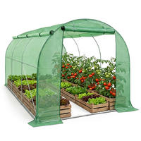 TUNNELGEWÄCHSHAUS mit aufrollbaren Seitenwänden, Grün, 200x300x200 cm - Grün, Metall (200/200/300cm) - Akord