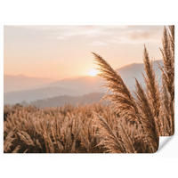 TAPETE - Gras - Feld - Sonne - Natur - 300x220 cm - Sandfarben, Papier (300/220cm) - OnlyWow