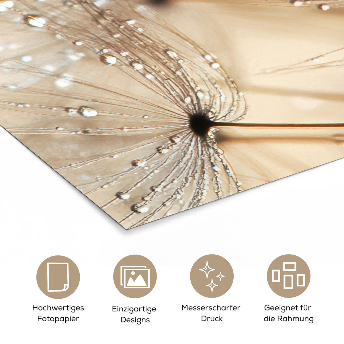 POSTER Löwenzahn - Abstrakt - Natur - Beige 20x30 cm - Braun, Papier (20/30/0.1cm) - MuchoWow