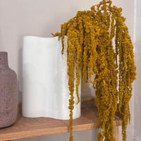 AMARANTHUS Stiele - curry / 30 cm - Currygelb, Naturmaterialien (30cm) - Lykke & You
